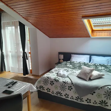 Nyirfa Apartmanhaz アパート ザラカロシュ