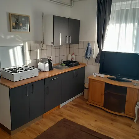 Nyirfa Apartmanhaz アパート ザラカロシュ