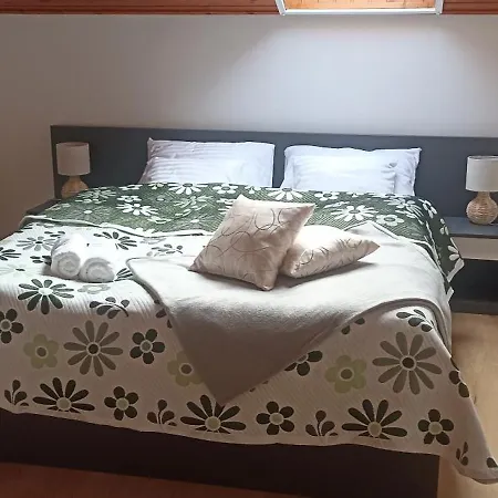 Nyirfa Apartmanhaz ザラカロシュ