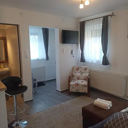 Nyirfa Apartmanhaz Апартаменты Залакарош