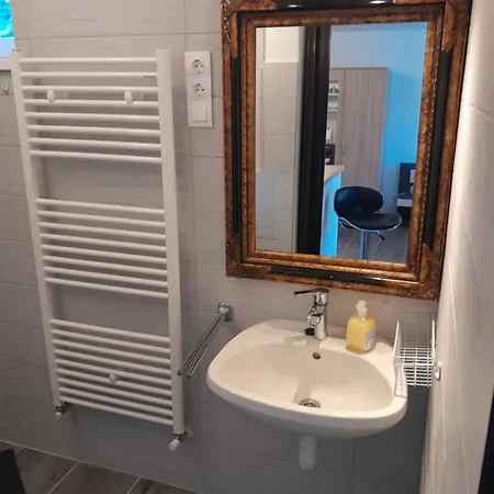 Nyirfa Apartmanhaz Апартаменты Залакарош