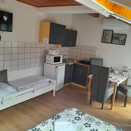 Nyirfa Apartmanhaz ザラカロシュ