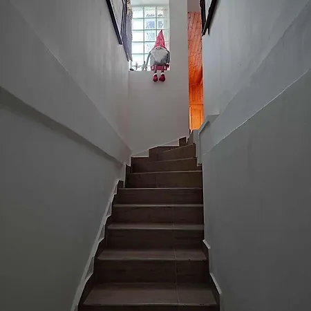 Nyírfa *